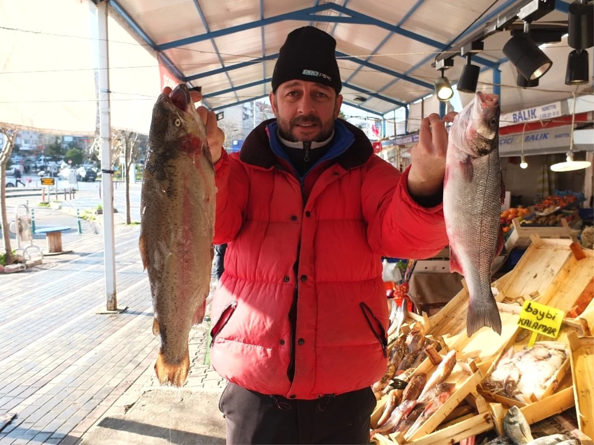 Tezgahlar Boşaldı, Balık Zamlandı