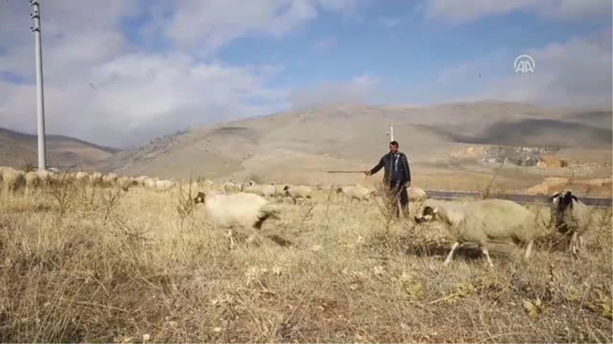 Arkadaşım Eşek" Şarkısını Aratmayan 30 Yıllık Dostluk