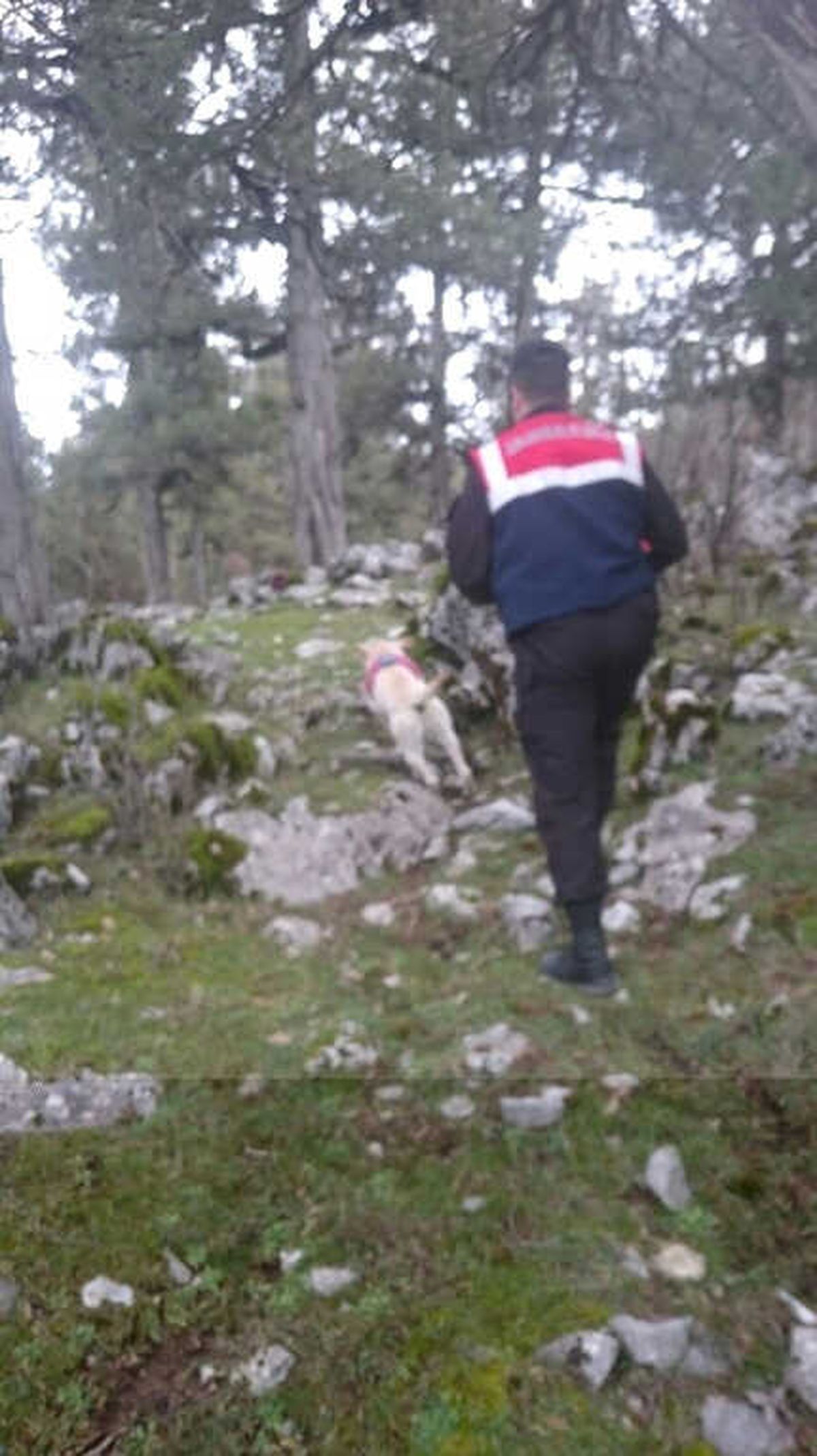 Dağda Kaybolan 5 Kişi Bulundu