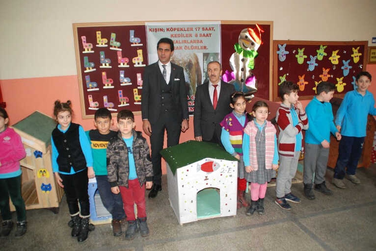 Öğrenciler, Sokak Hayvanlarına Kulübe Yaptı