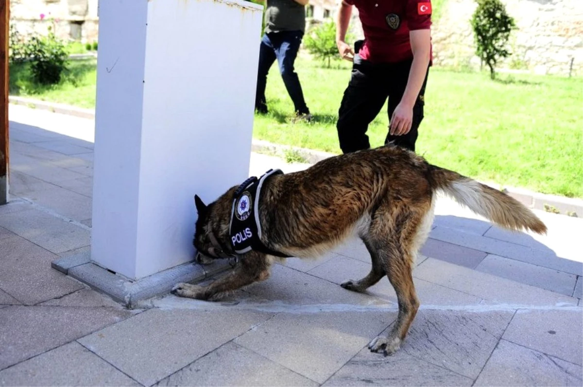 Uşak\'ta Narkotik Detektör Köpekler Uyuşturucuya Göz Açtırmıyor