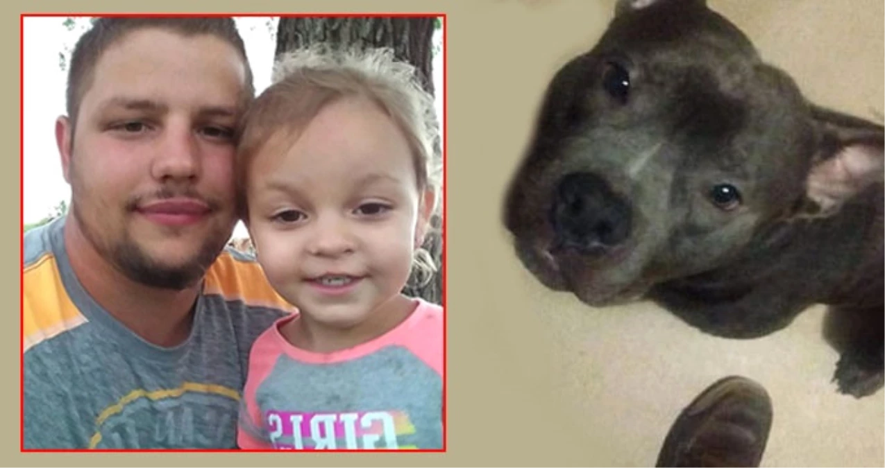 5 Gün Önce Aldıkları Pitbull, 3 Yaşındaki Kıza Saldırıp Öldürdü