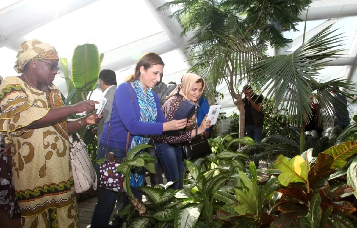 Konya\'nın Favori Ziyaret Mekanı Tropikal Kelebek Bahçesi