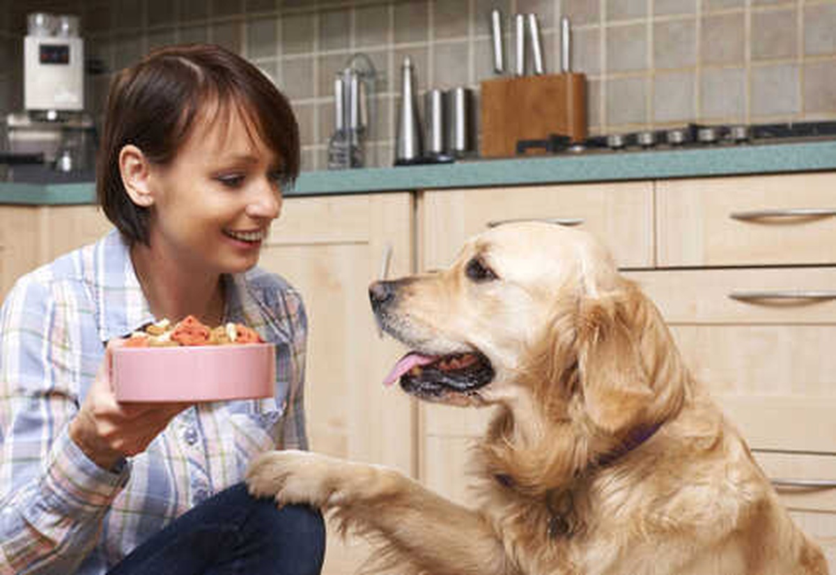 Köpeğiniz İçin 5 Sağlıklı Atıştırmalık