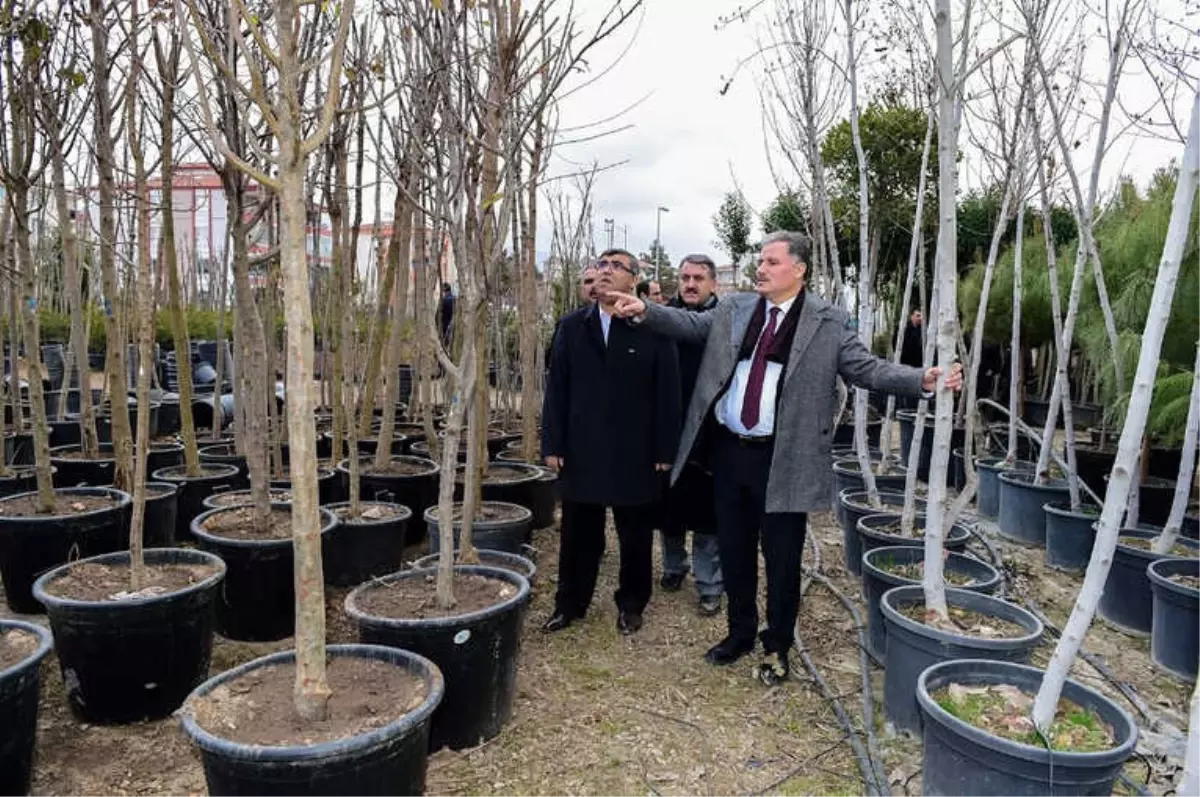 Malatya\'nın Yeşil Dokusu Artıyor