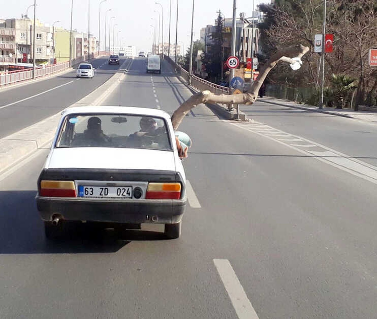 Otomobilden Çıkan Ağaç Şaşkına Çevirdi