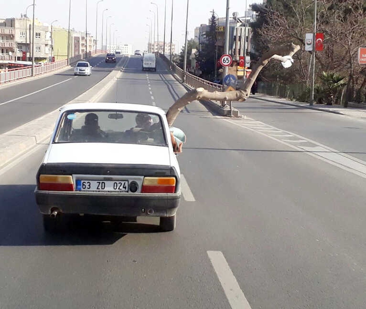 Otomobilin Camından Uzatılan 2 Metrelik Ağaç Şaşkına Çevirdi