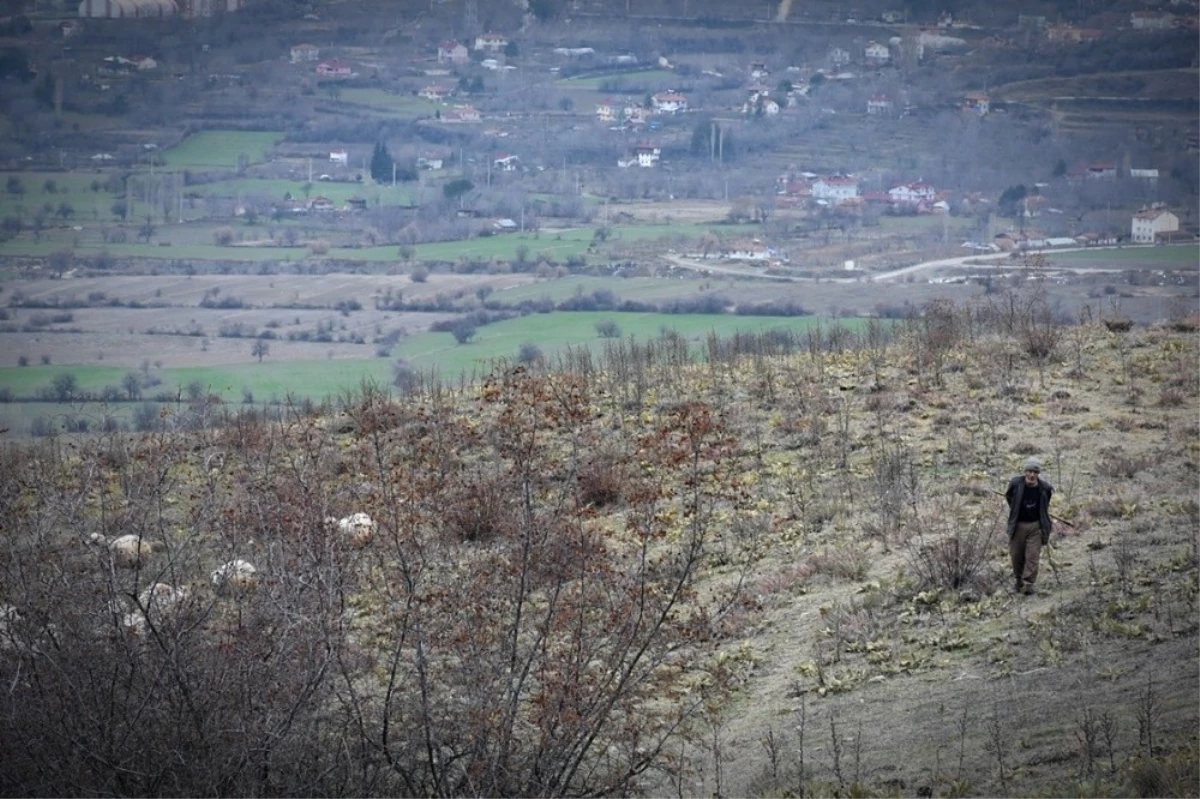 Dağdaki Çobanın Cumhurbaşkanı Erdoğan Sevgisi