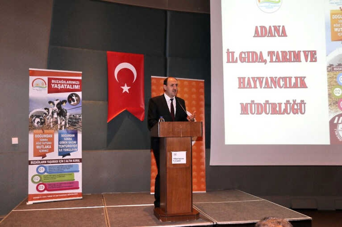 Adana\'da Buzağı Ölümlerine Karşı Aşılama Kampanyası