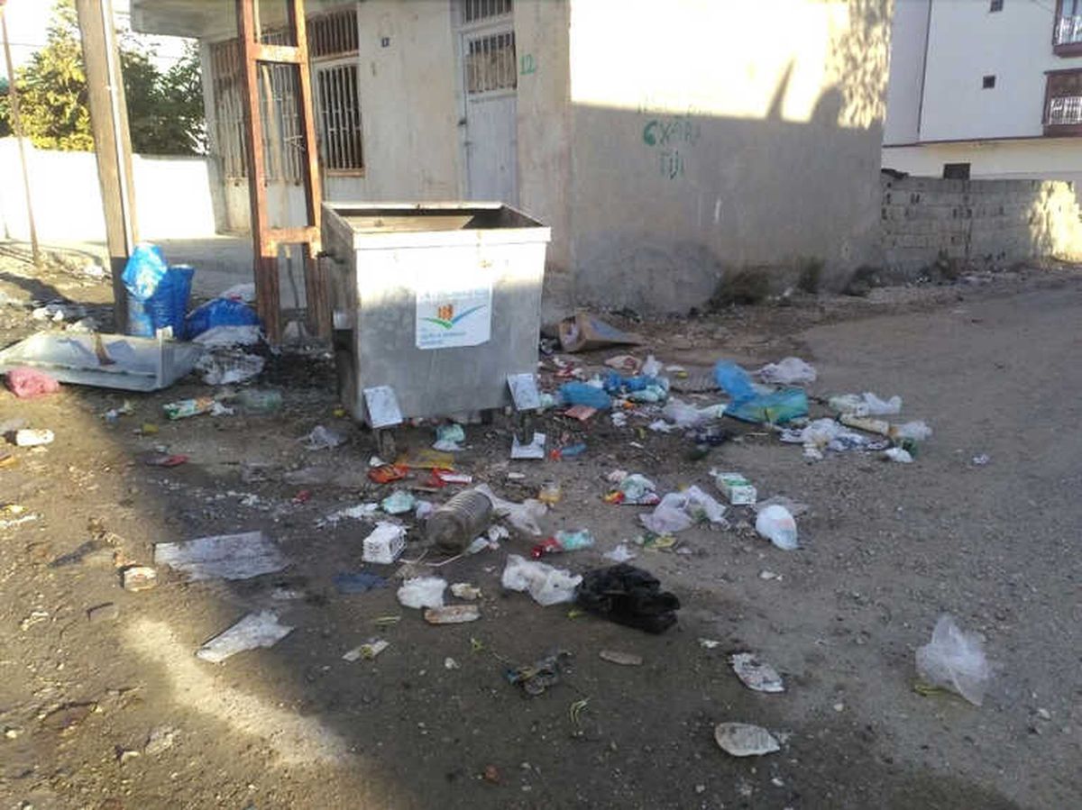 Beşiri\'de Sokak Hayvanları Aç Kaldı