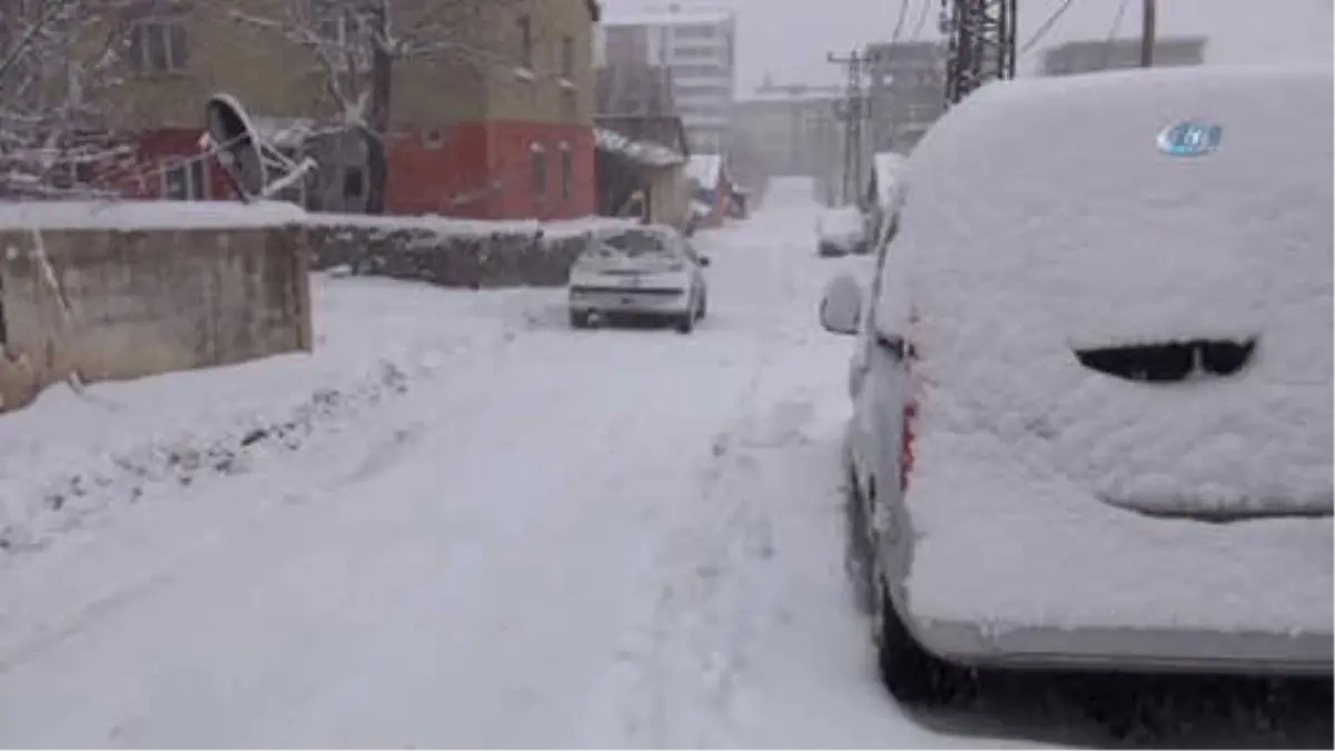 Bitlis\'te 174 Köy Yolu Ulaşıma Kapandı