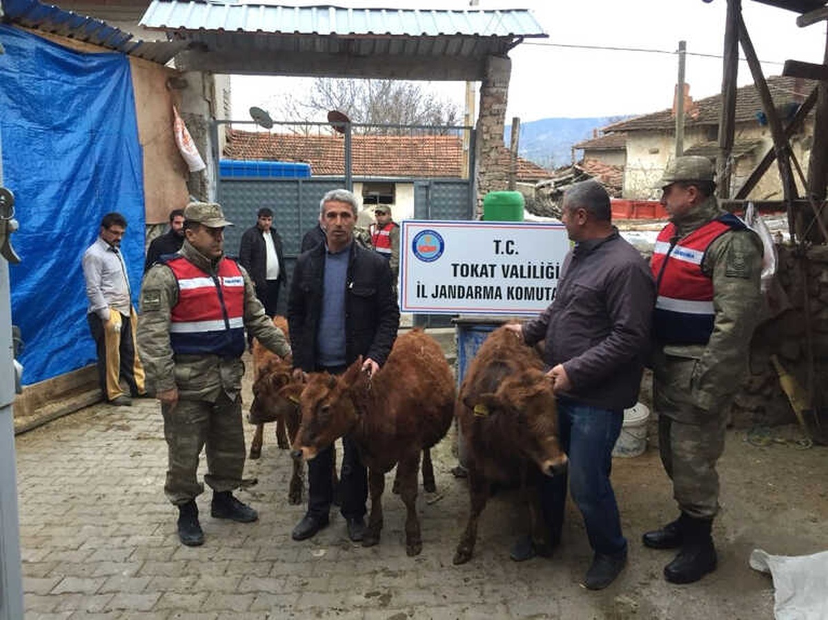 Çalınan Büyükbaş Hayvanlar Sahiplerine Teslim Edildi