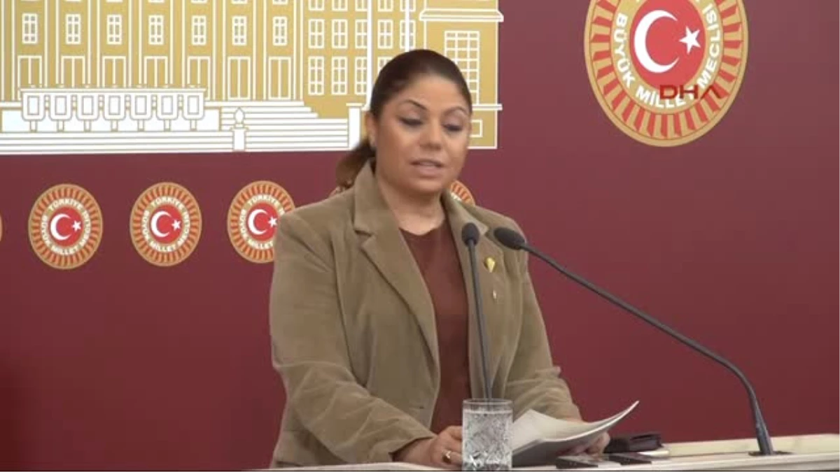 CHP\'li Zeynep Altıok Açıklama Yaptı