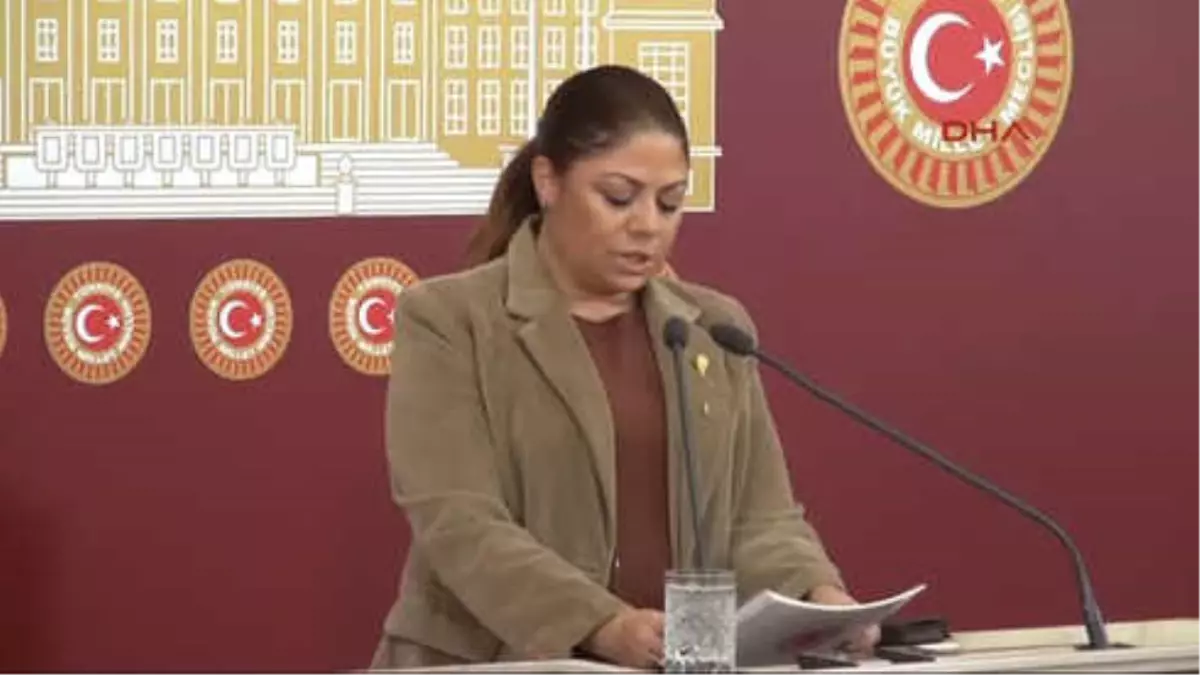 CHP\'li Zeynep Altıok Açıklama Yaptı