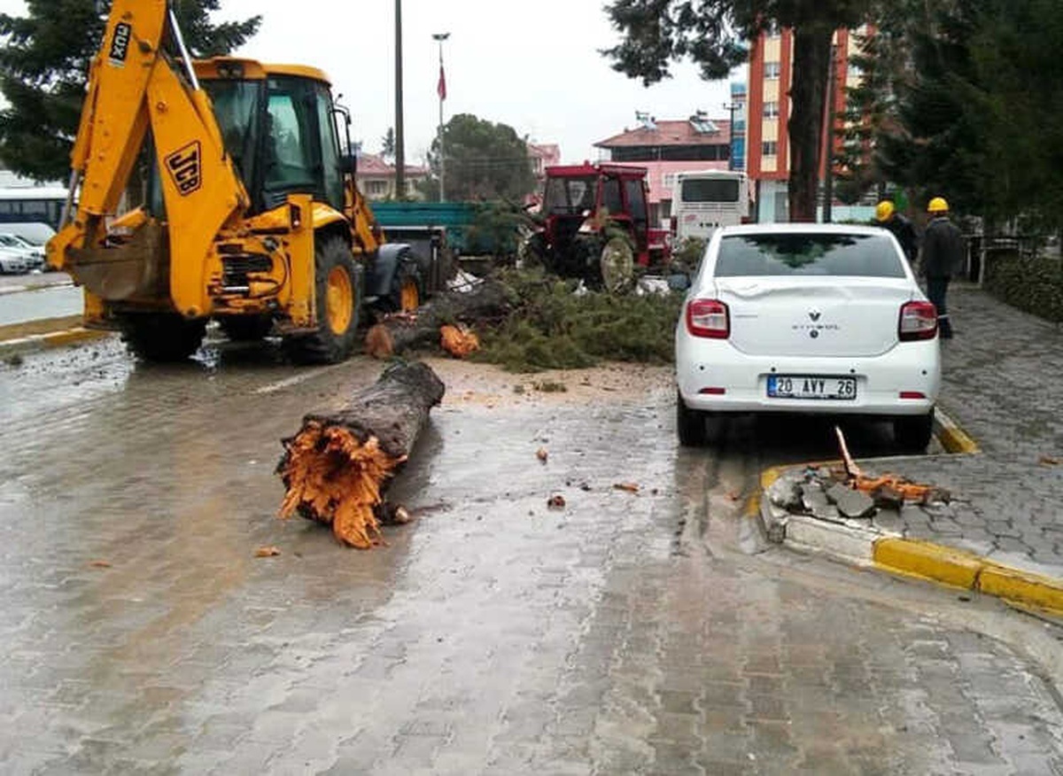 Denizli\'de Fırtına Çam Ağacını Yıktı