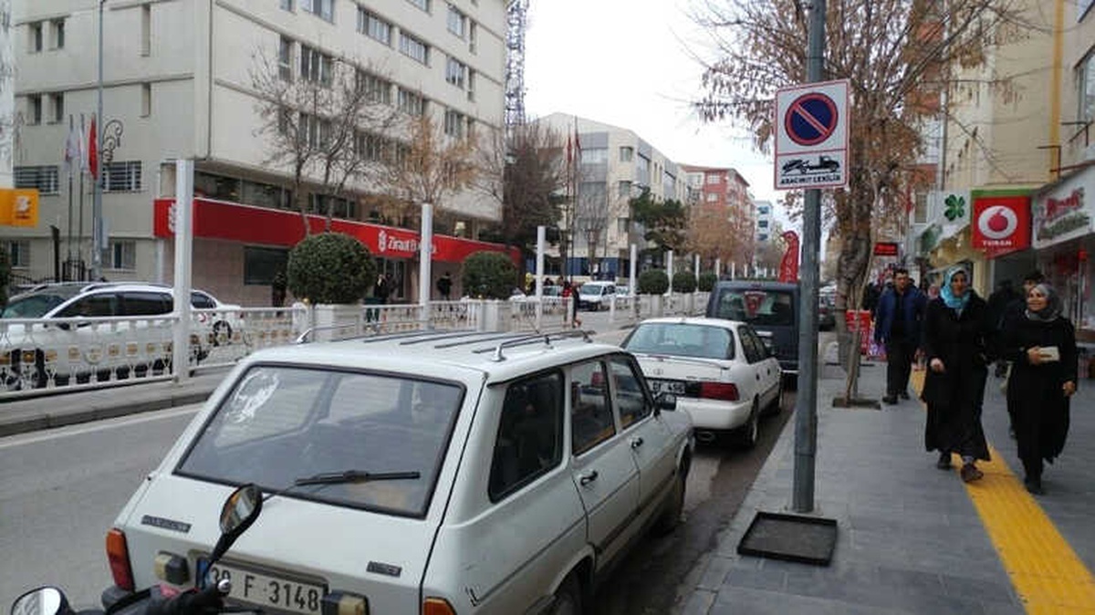 İstanbullu En Çok Park Yasağı Cezası Yedi