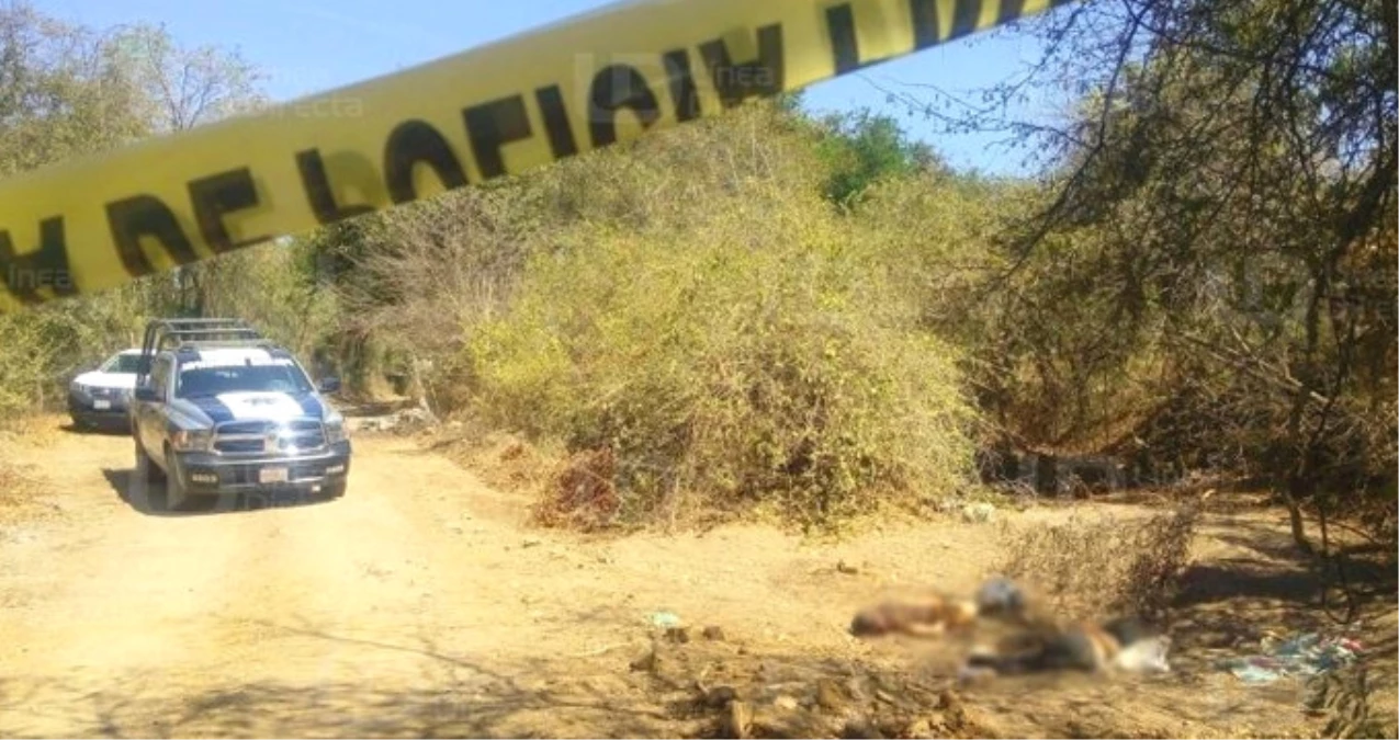 Meksika\'da Gizli Mezarlarda 30 Kişiye Ait Kalıntılar Bulundu