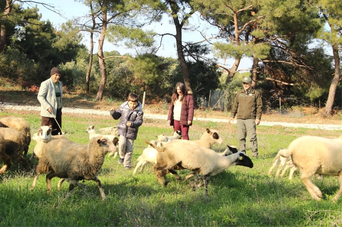 Babanın Mesleği, Otizmli Çocuğa Terapi Oldu