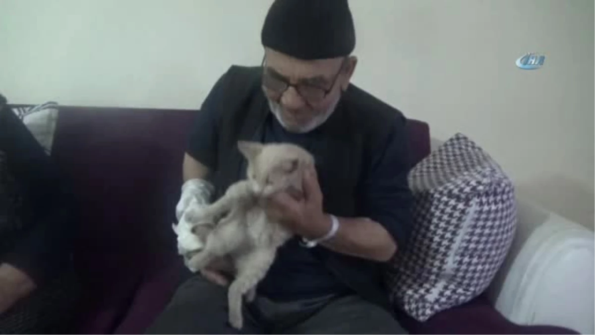 Taburcu Olan Ali Meşe, Kedisinden Bir An Olsun Ayrılmıyor