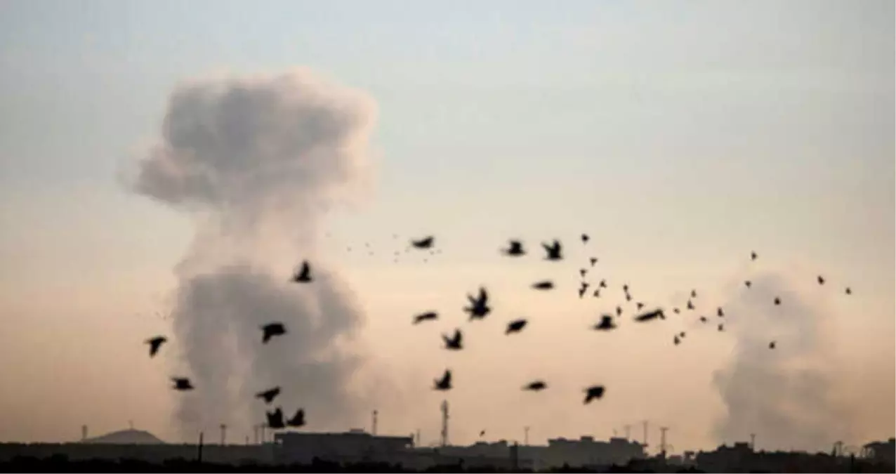 Afrin Harekatının Adı, Neden Zeytin Dalı Oldu?