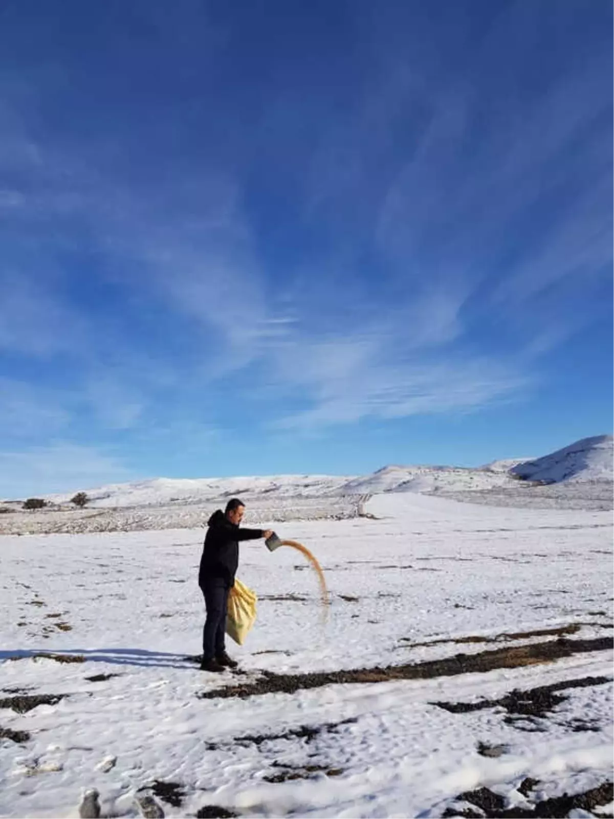 Aç Kalan Kuşlar İçin 85 Kilometre Giderek Aralıklarla Yem Bıraktı