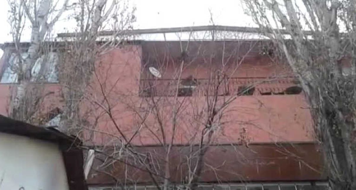 Ağaçta Sıkışan Kediyi Türkmen Genç Kurtardı