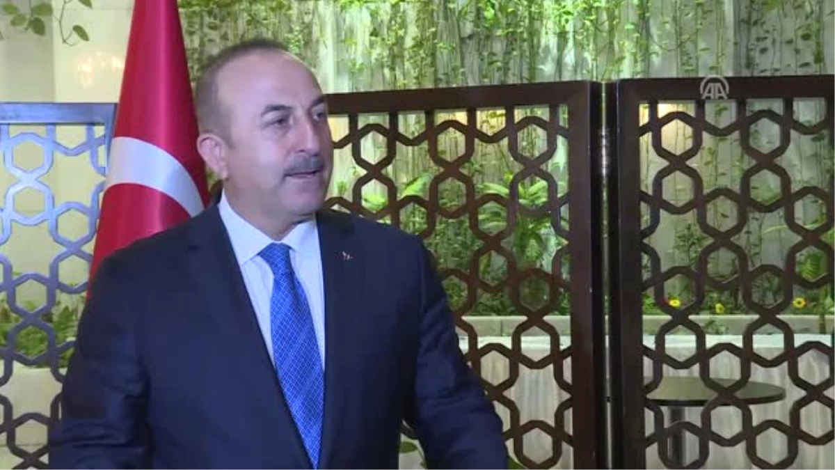 Dışişleri Bakanı Çavuşoğlu, Gazetecilerin Sorularını Yanıtladı (1)