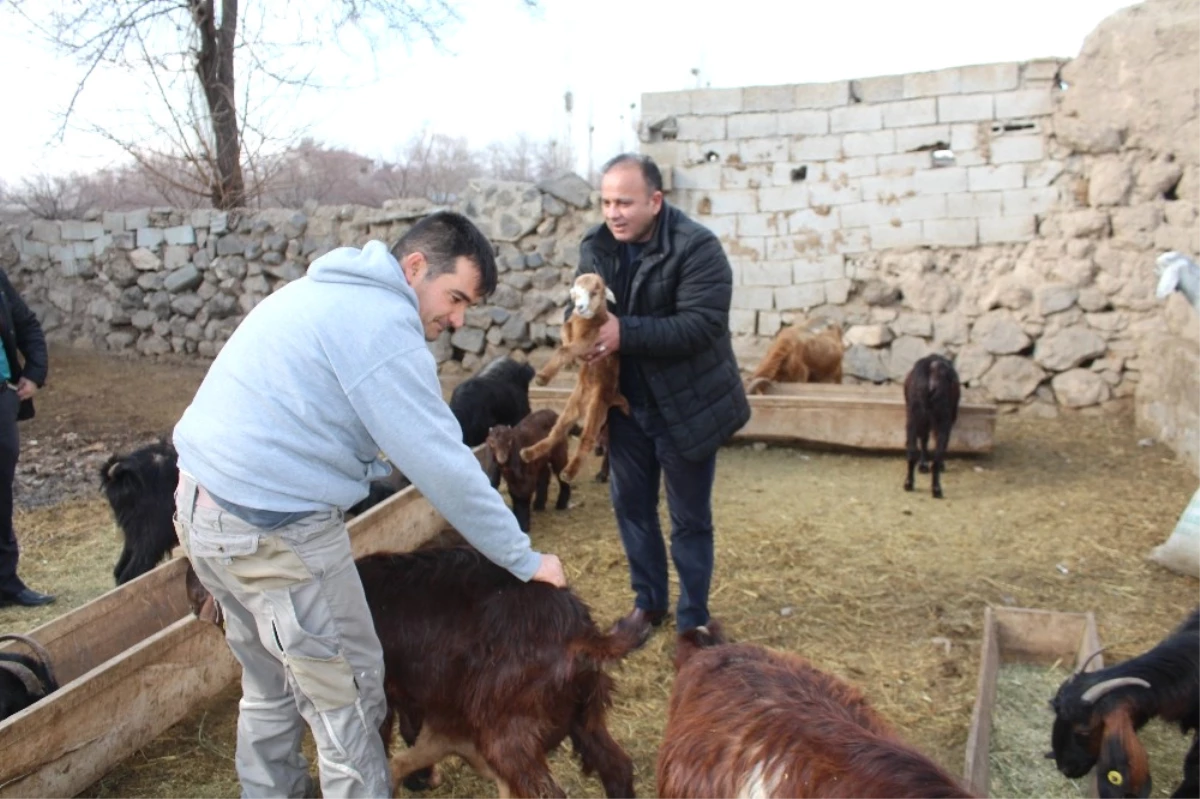 Müdür Yolcu, Çiftçileri Ziyaret Etti