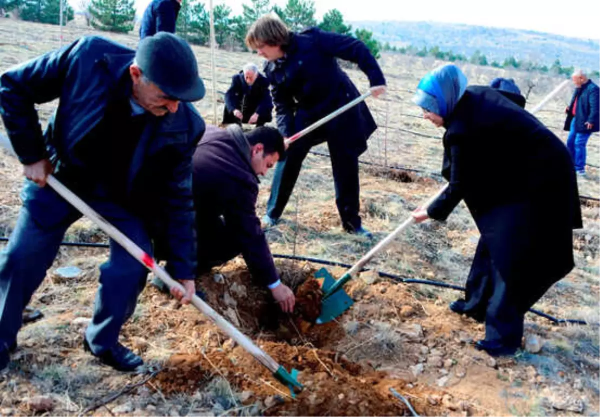 Daha Yeşil Meram İçin!