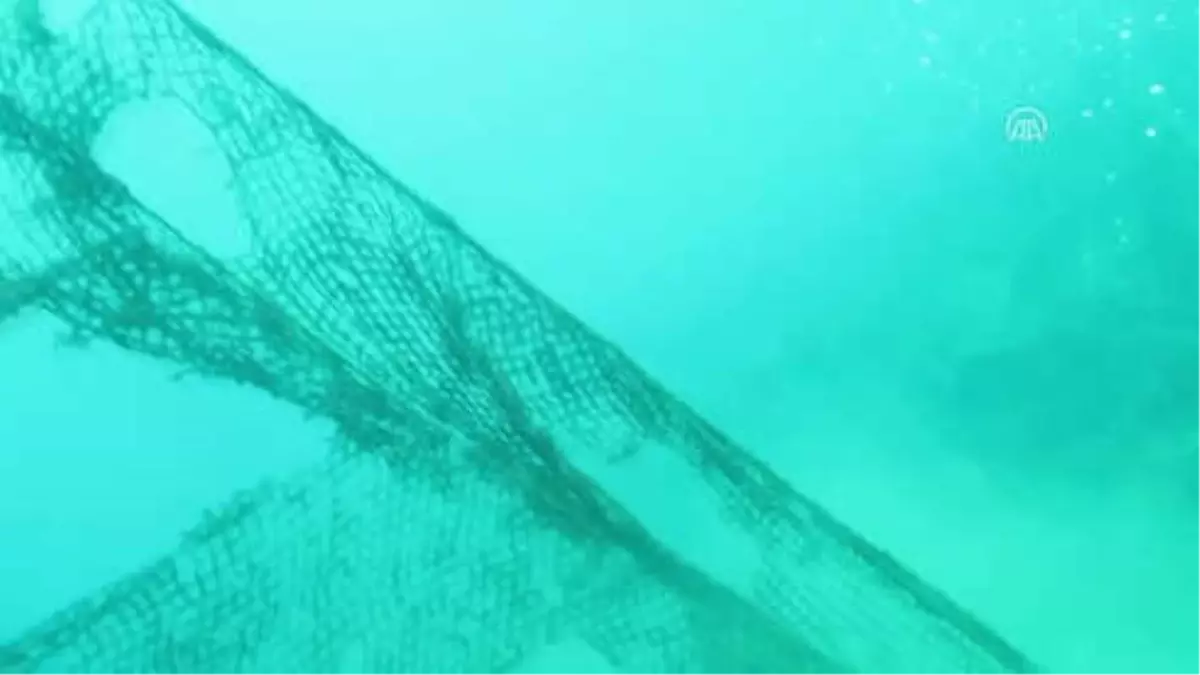 Denizden Binlerce Metrekare "Hayalet Ağ" Çıkardılar