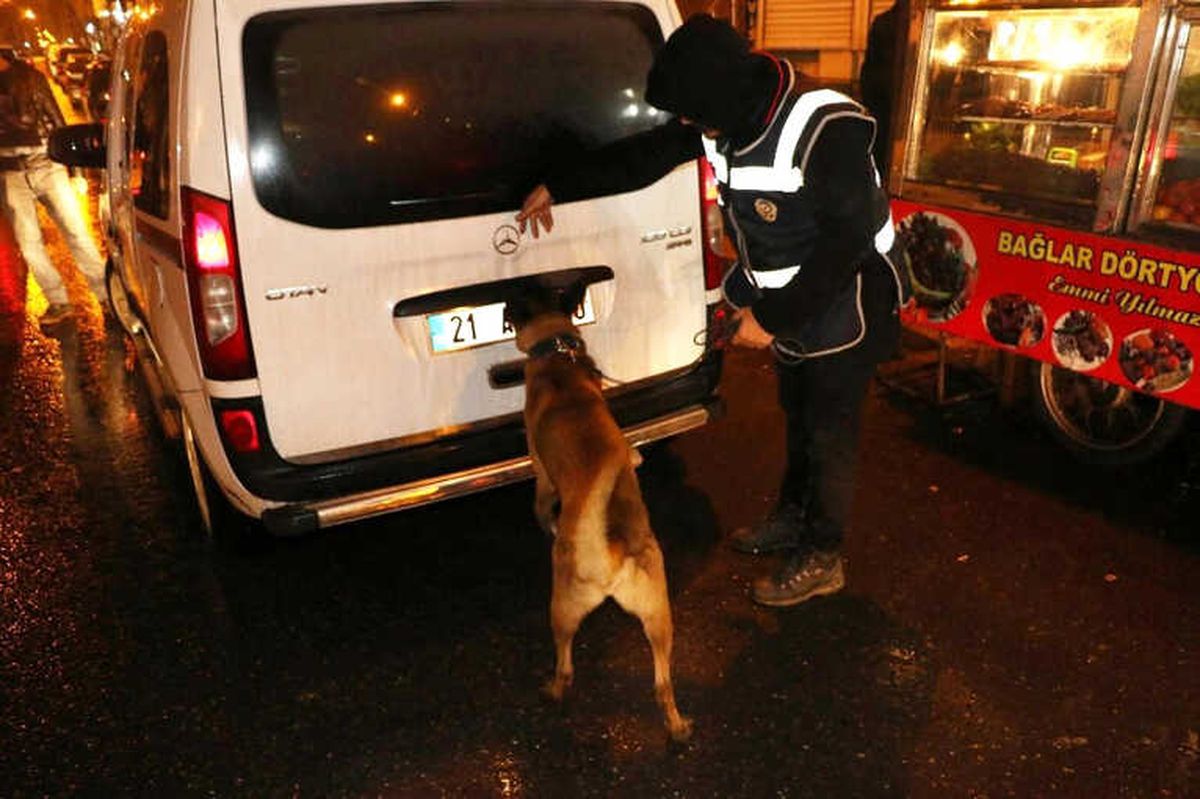 Diyarbakır\'da 600 Polis ve Dedektör Köpeklerle Asayiş Uygulaması