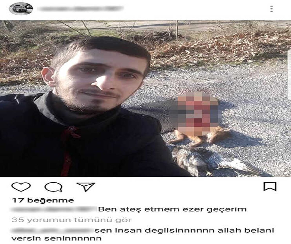 Hayvanseverleri Ayağa Kaldıran Paylaşım