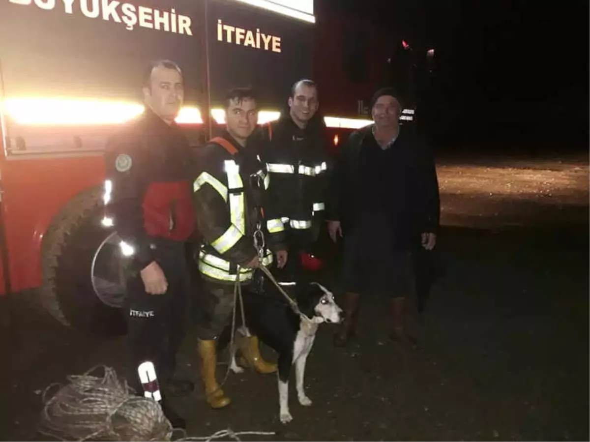 İtfaiyeden Gece Yarısı Köpek Kurtarma Operasyonu