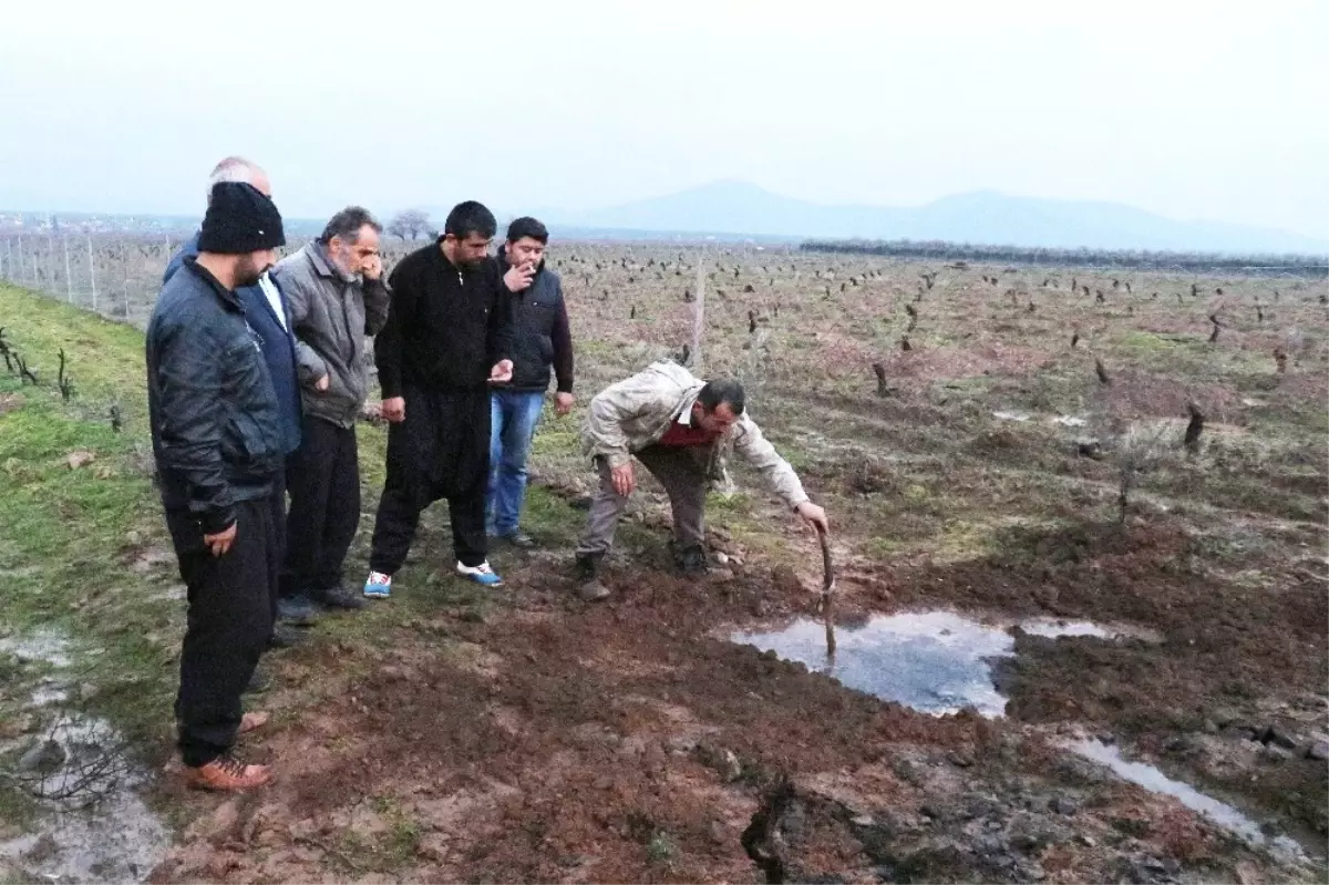 Meraklı Köylüler Yürekleri Ağızlara Getirdi