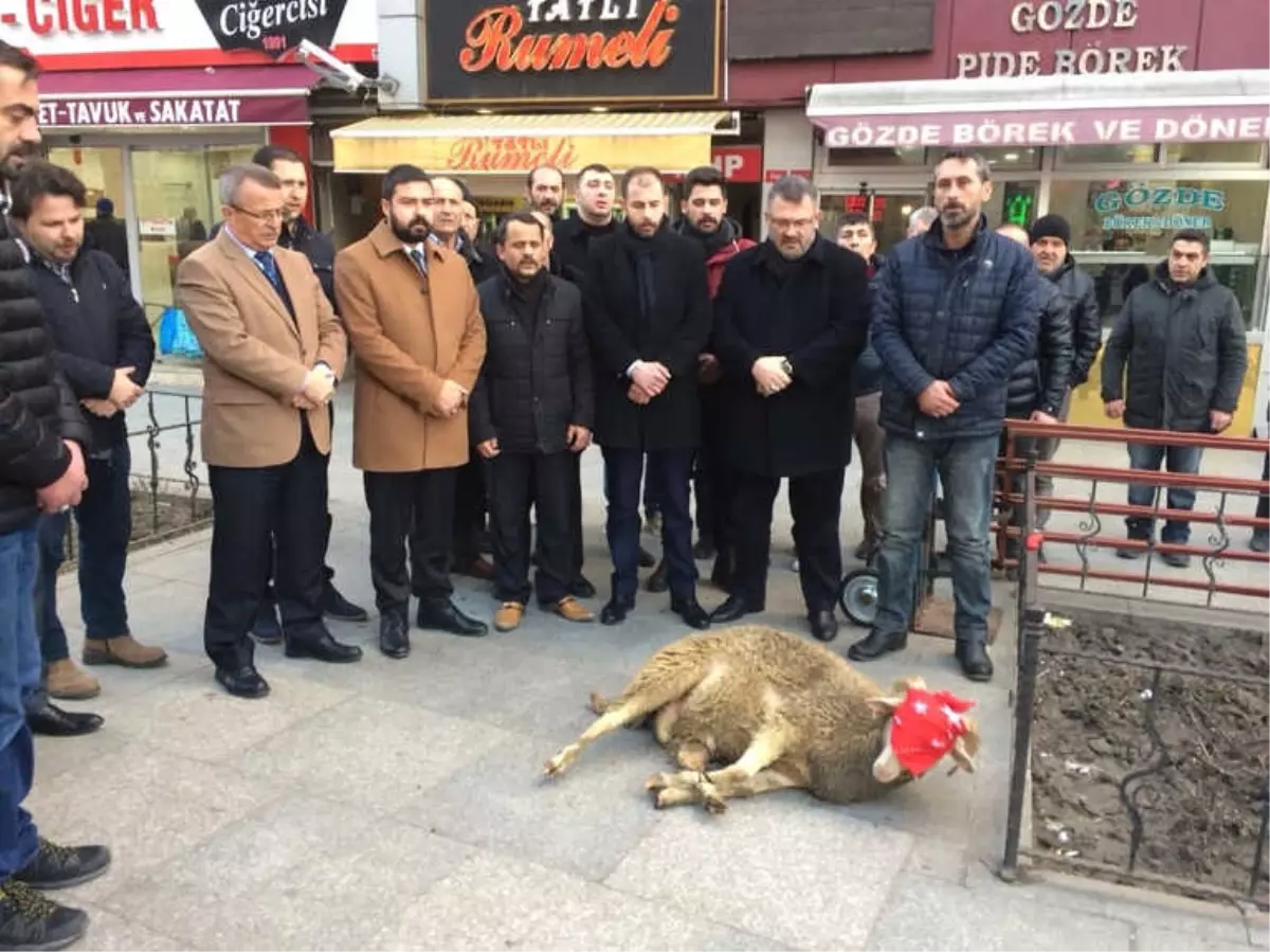 MHP\'liler Afrein\'deki Askerlerimiz İçin Koç Kesip Dua Etti