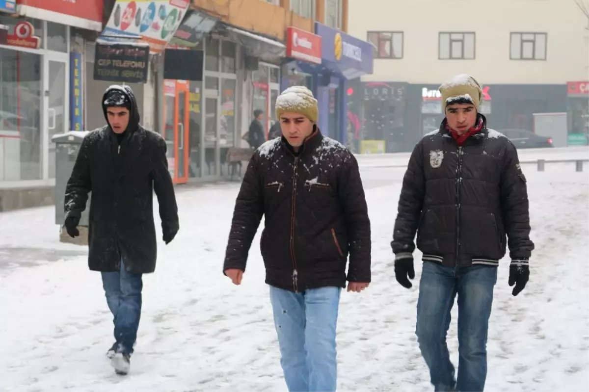 Ağrı\'da Dondurucu Soğuklar Yerini Kar Yağışına Bıraktı