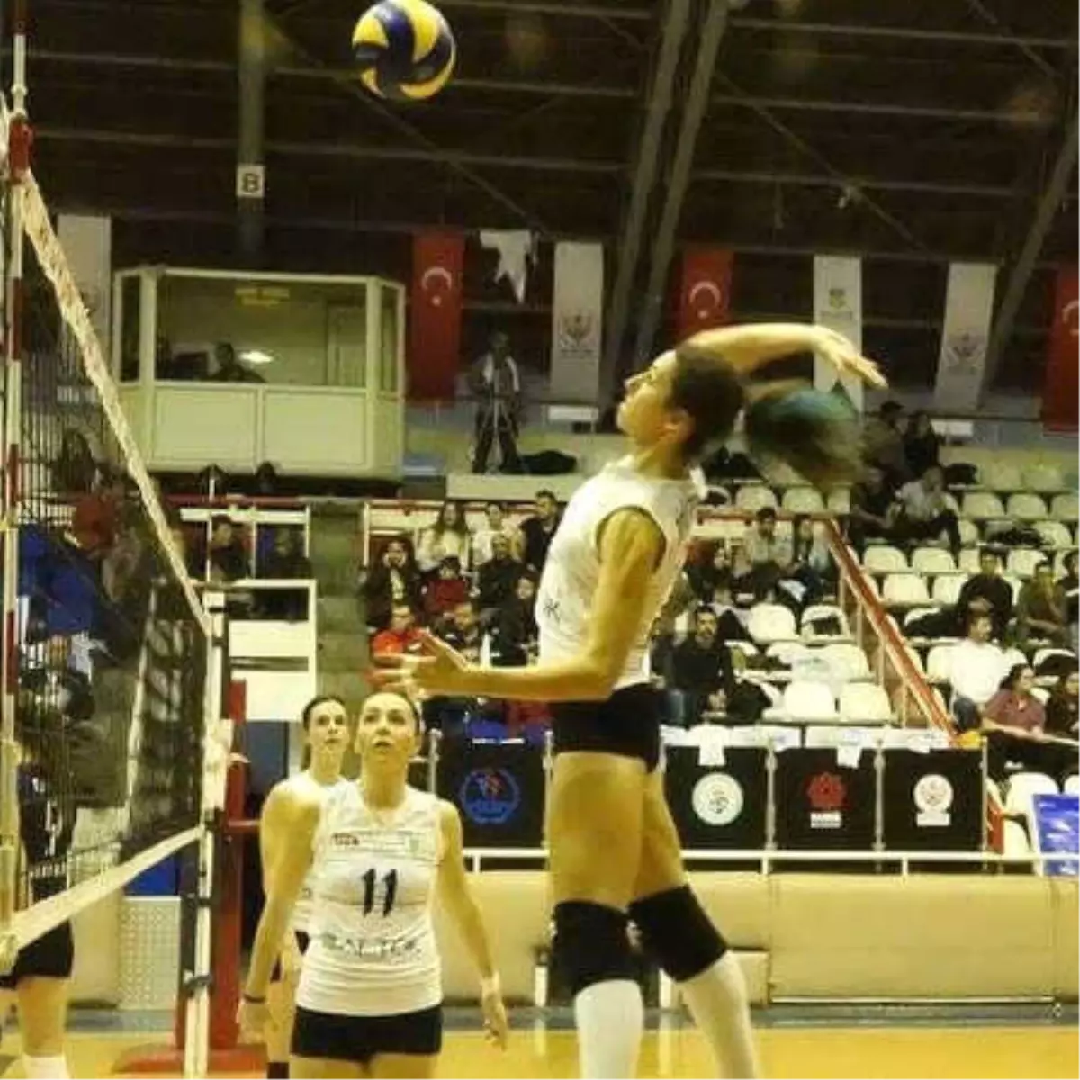 Bayan Voleybolcuların Rakibi, Thy