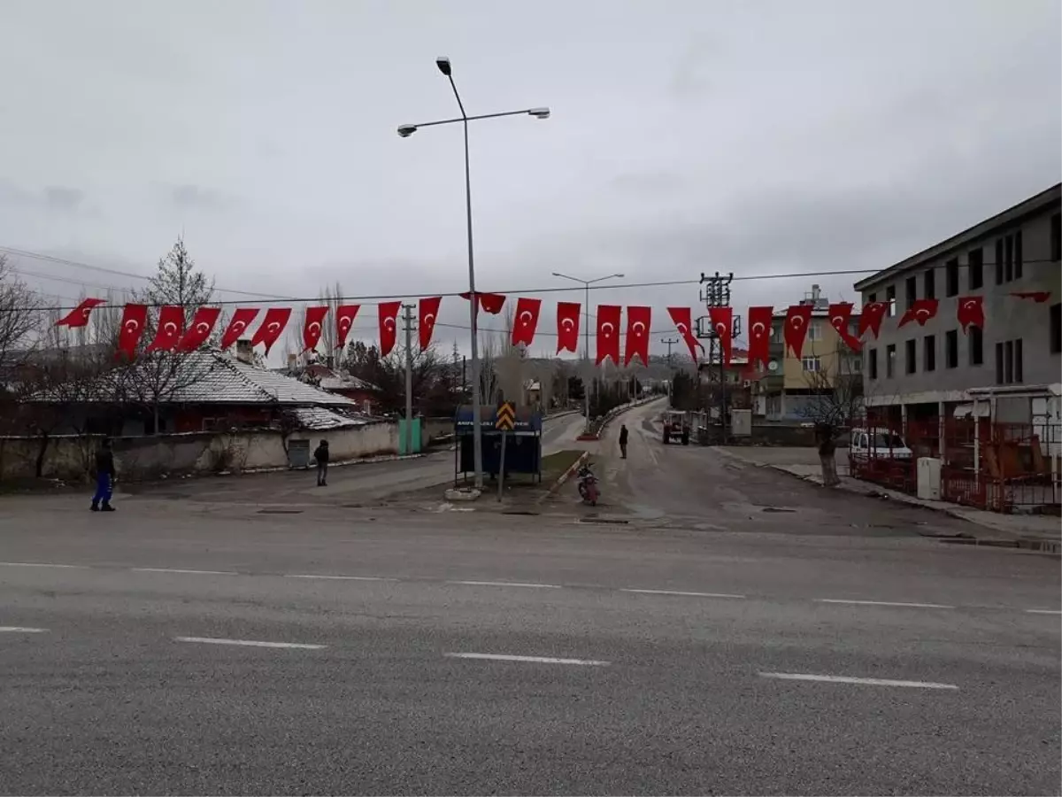 Köylülerden Zeytin Dalı Harekatı\'na Türk Bayraklı Destek