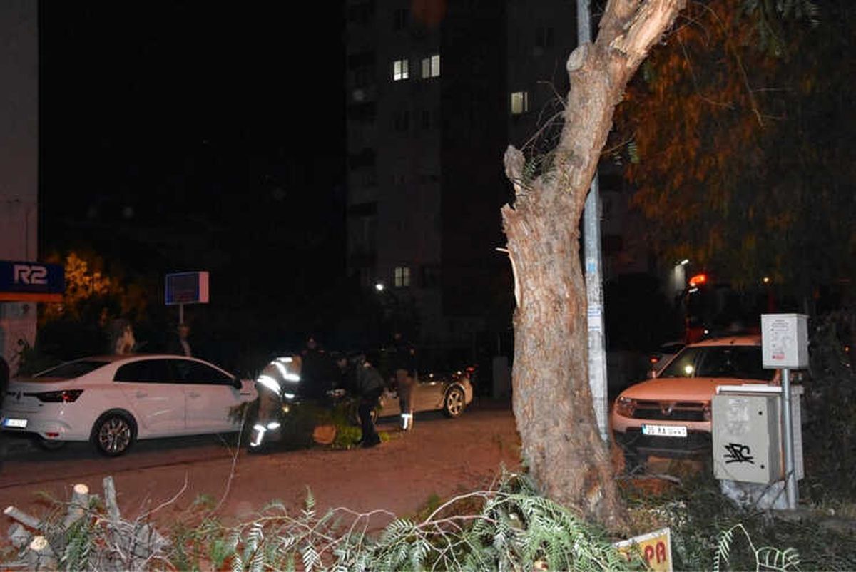 Şiddetli Rüzgar Ağaçları Yıktı