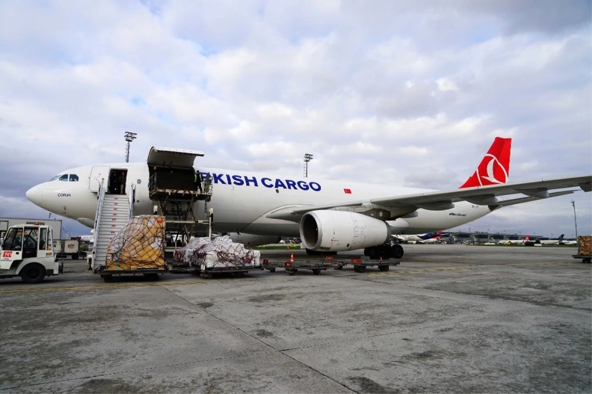 Turkish Cargo Çin\'e Penguen ve Aslan Taşıdı