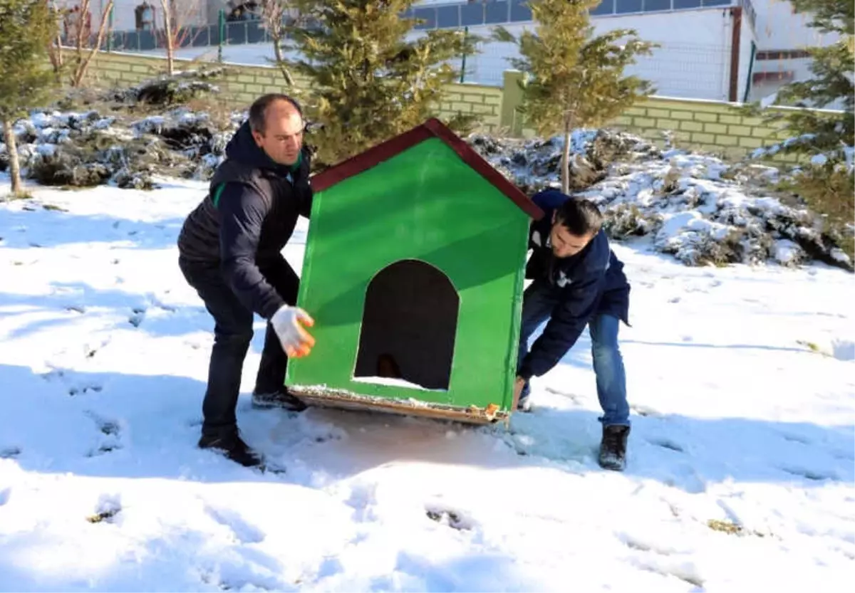 Yozgat\'ta Aç Kalan Sokak Hayvanlarına Belediyeden Şefkat Eli