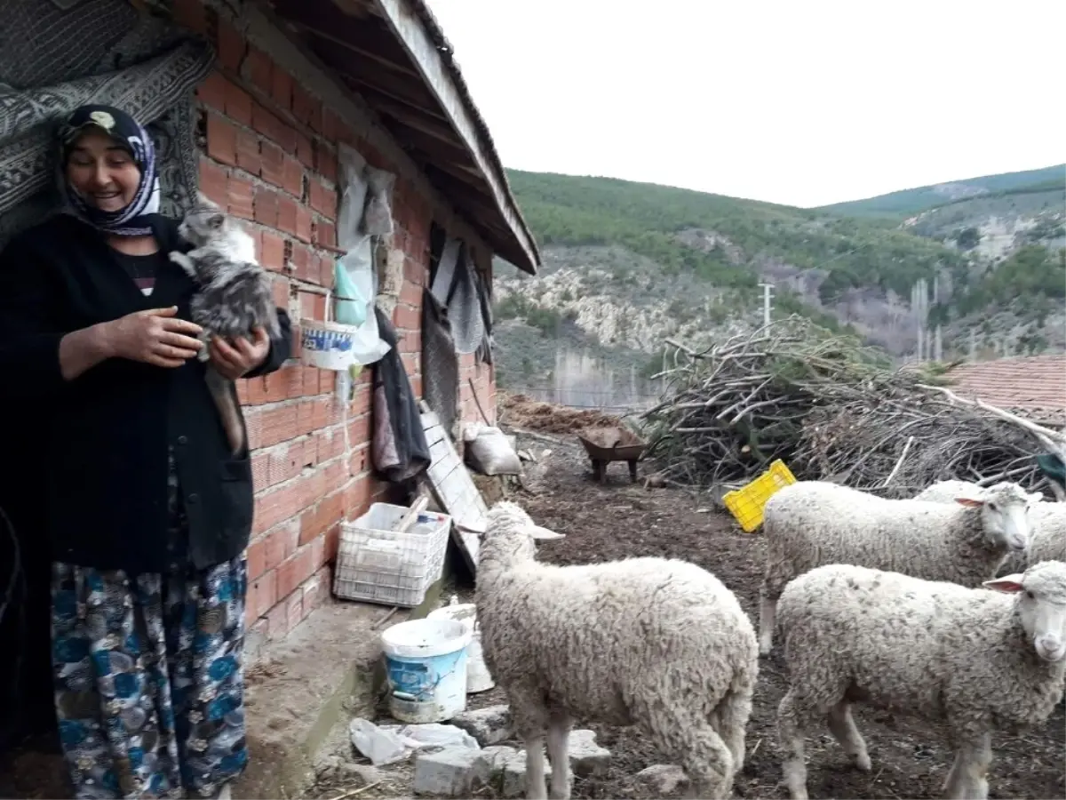 Başkan Rasim Daşhan: Üreticimizin Derdi Bizim Derdimizdir