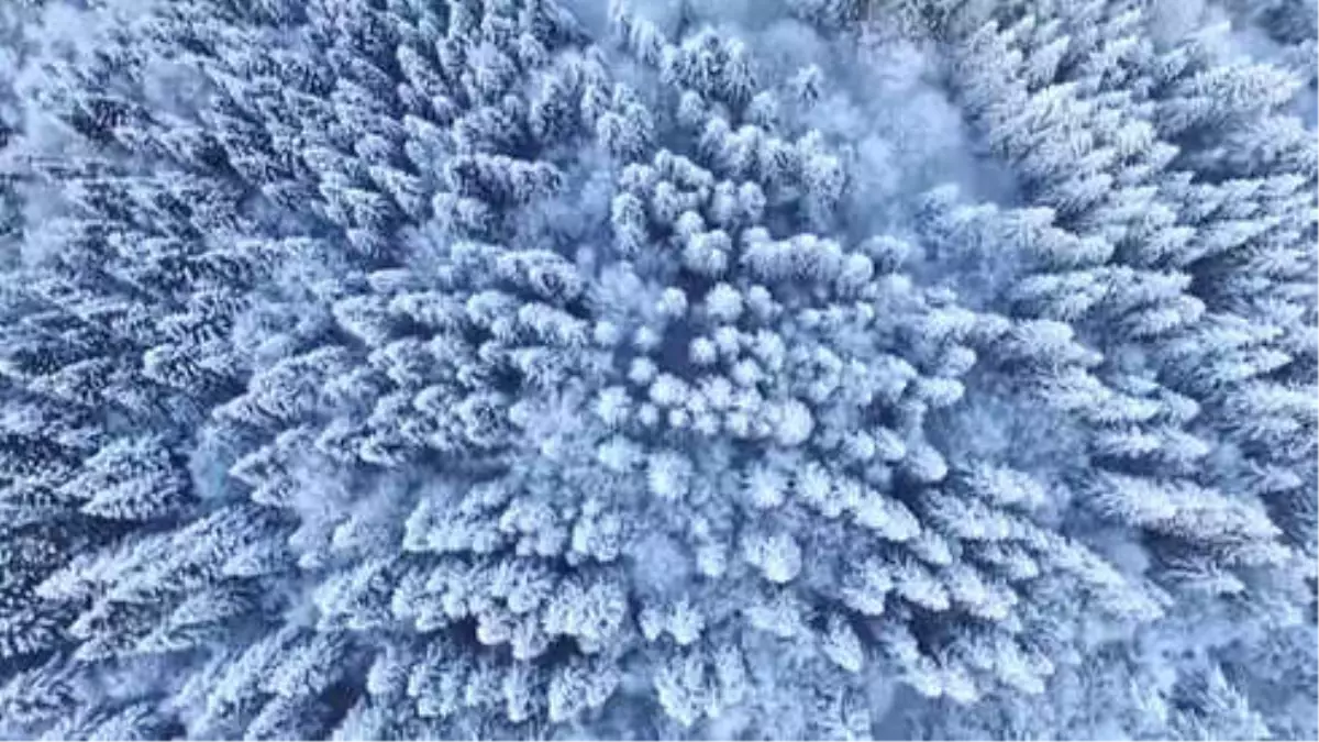 Bolu Dağı\'nın Eşsiz Kar Manzarası