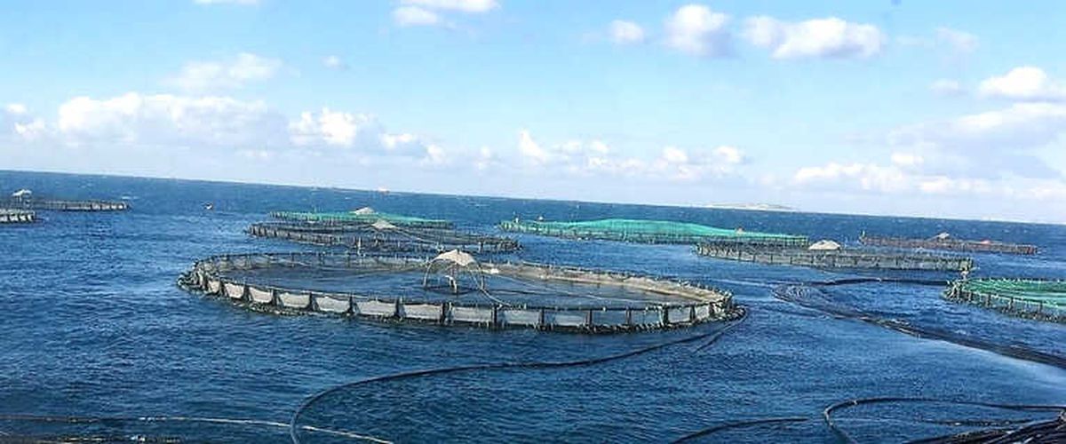 Karadağ\'da Balıkçılık Sektörüne Tika Desteği