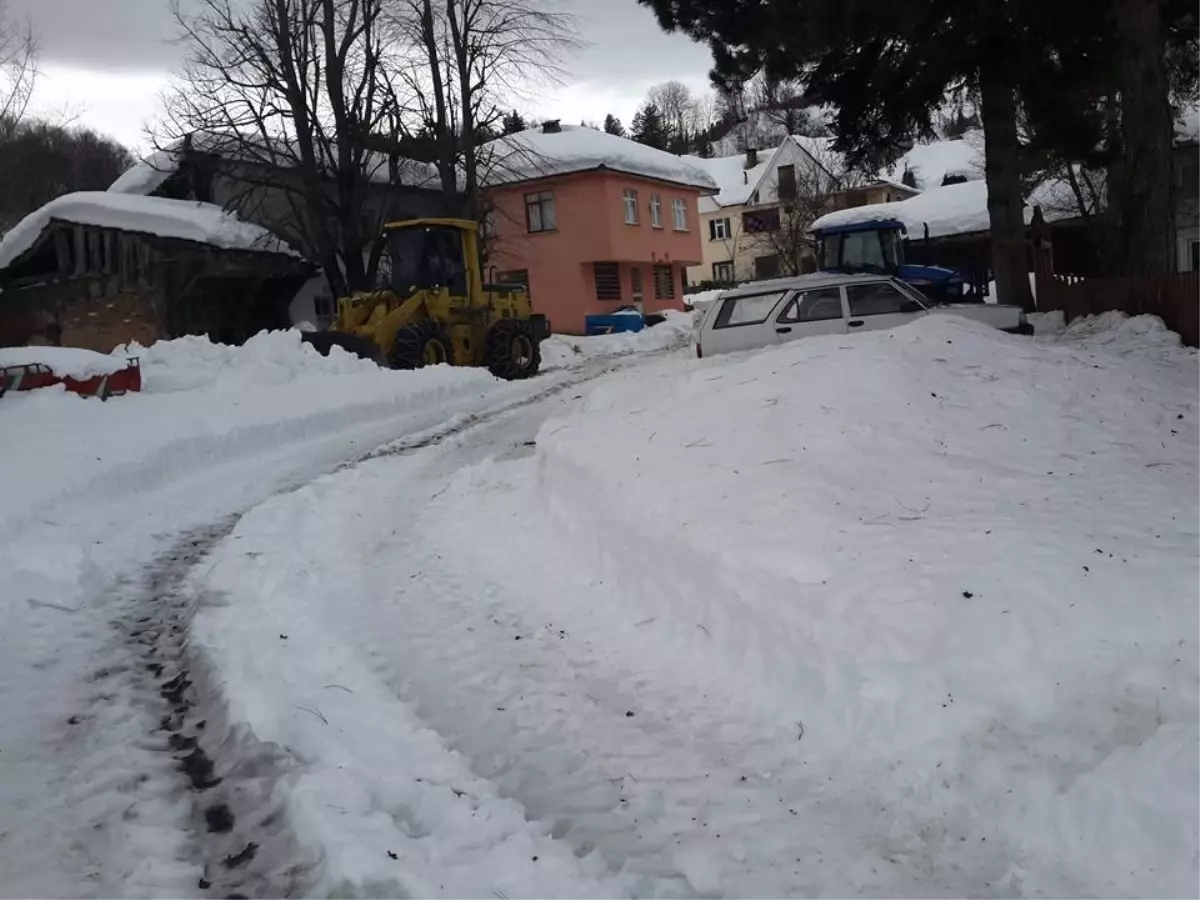 Kastamonu\'da 205 Köy Yolu Kar Yağışı Nedeniyle Kapandı