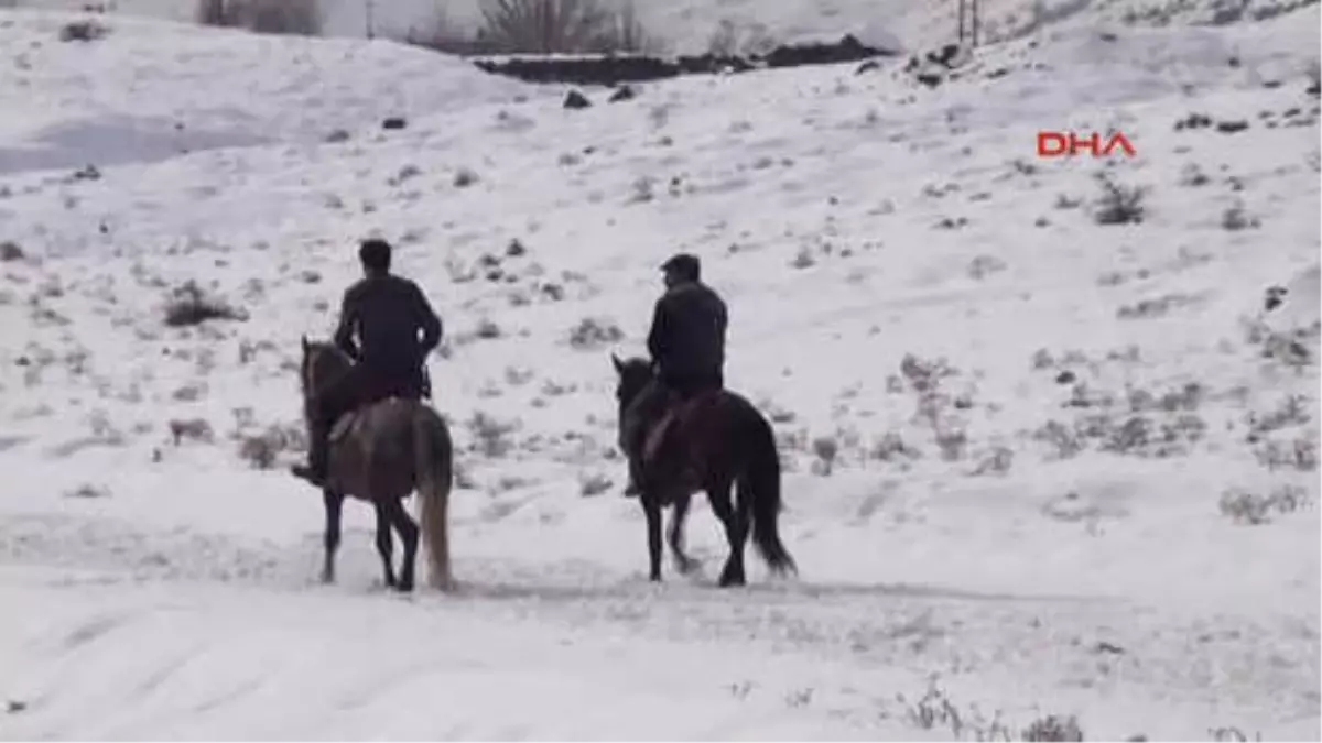 Bitlis\'te Atlar Karlı Zeminde Yarışlara Hazırlanıyor