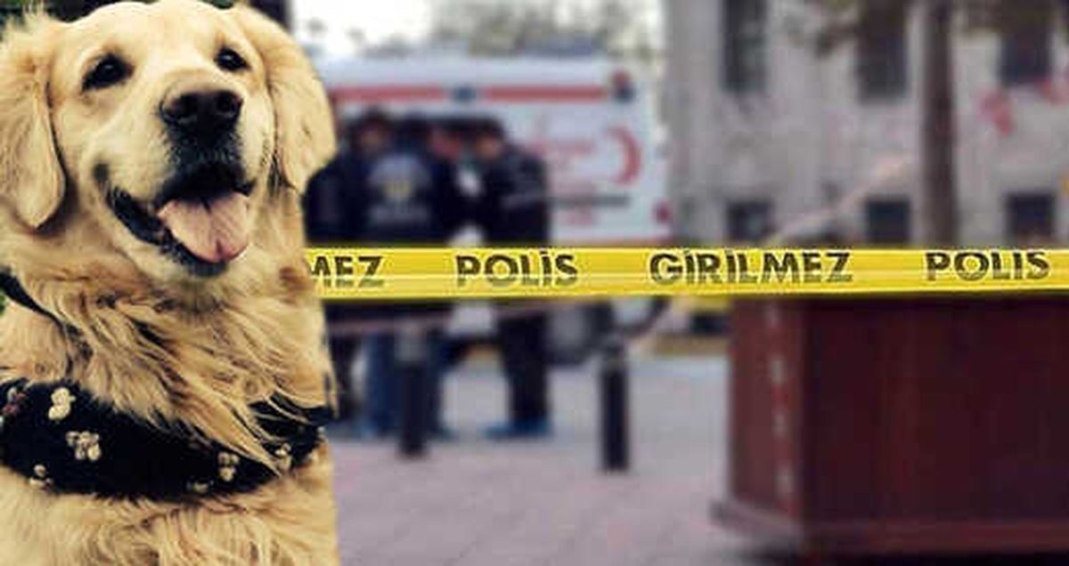 Köpek Havlamasından Rahatsız Olan Yönetici Ölüm Saçtı: 2 Ölü 1 Yaralı