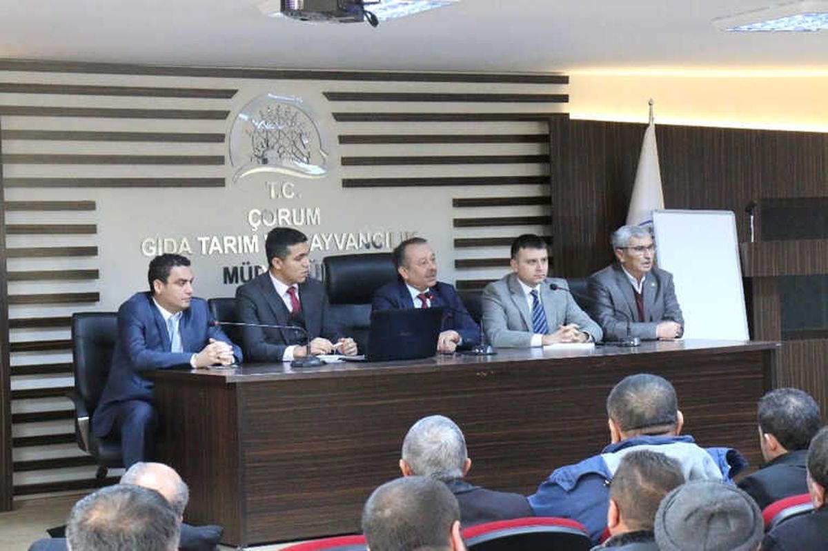 Çorum\'da Küçükbaş Hayvancılık Sektörünün Sorunları Masaya Yatırıldı