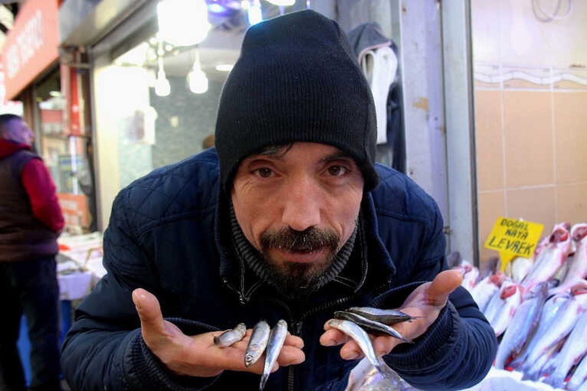 Fırtına Var, Hamsi Yok