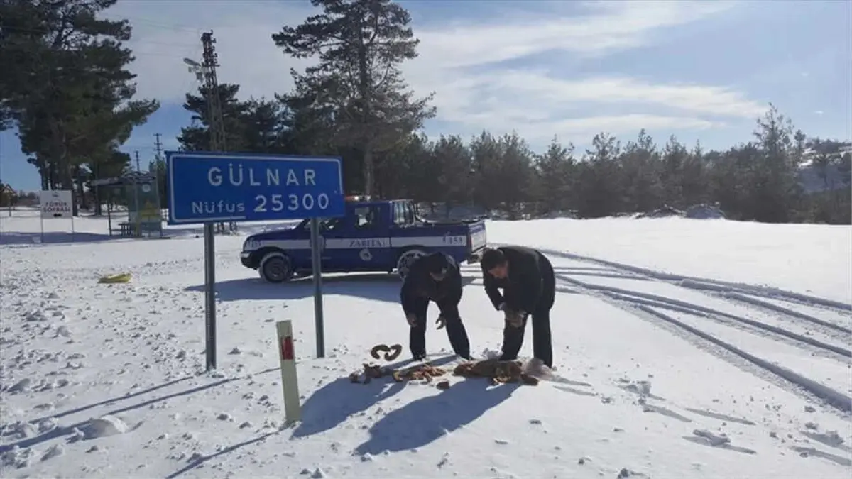 Gülnar\'da Hayvanlara Yem ve Mama Bırakıldı